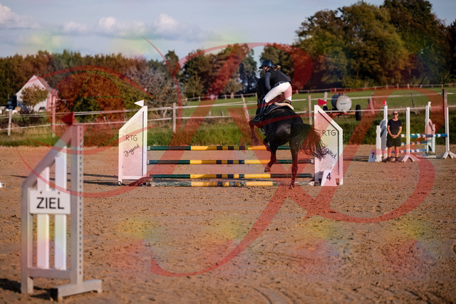 2026_10_03_Siefer-Hof_171540_Z81_13028441 | Professionelle Reitsport-, Turnier- und Eventfotografie von Robert Broda. Galerien mit ausgewählten und bearbeiteten Bildern direkt online ansehen und bestellen.