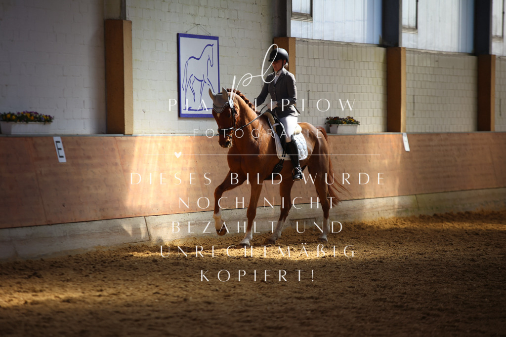 IMGT7393 | pl-fotografie