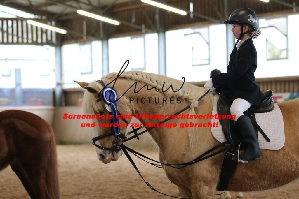 IMG_4901 | lmwpictures - Realisiert mit Pictrs.com