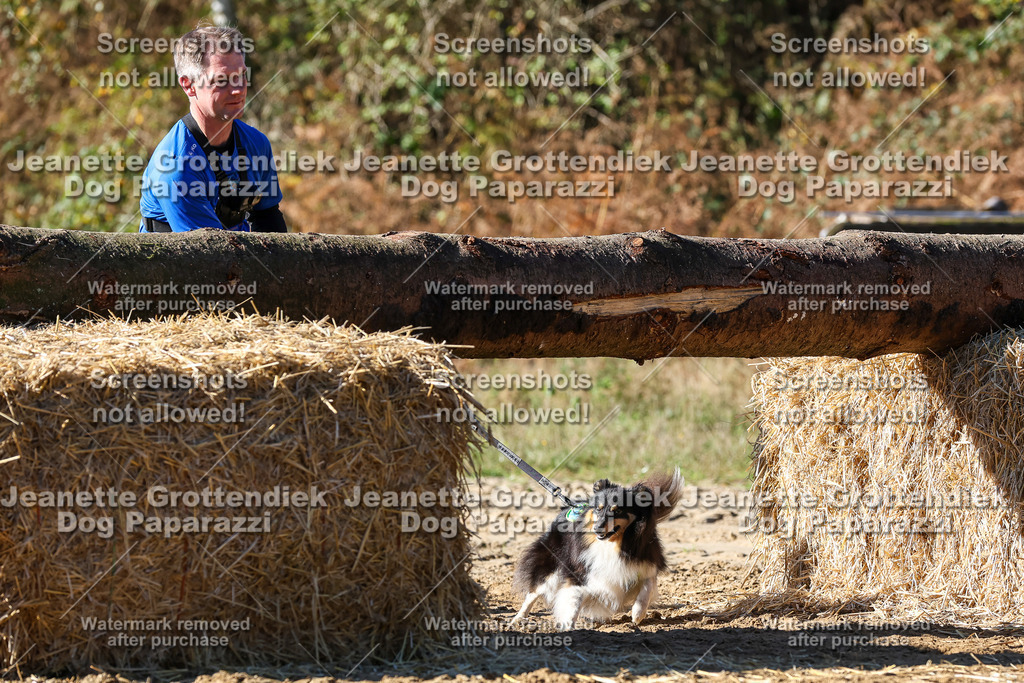 Dog Paparazzi - Strongdog 10-25-2491 | Dog Paparazzi Jeanette Grottendiek Fotografie & Videografie - Realisiert mit Pictrs.com