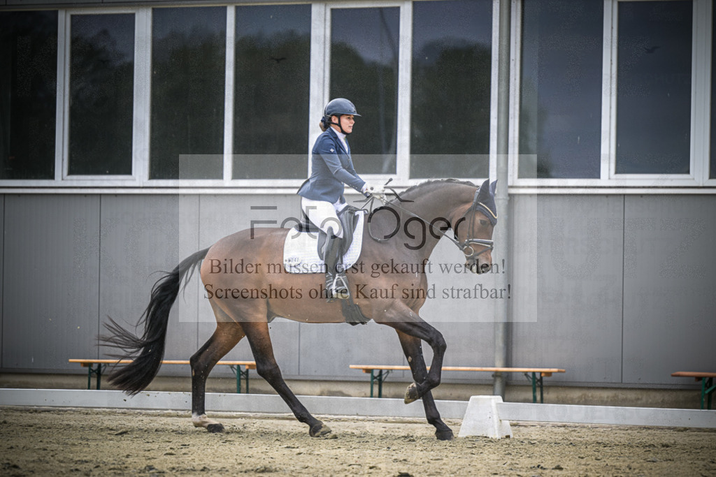 DOS_1096 | Entdecke hochwertige Reitturnierfotos von Foto Oger. Professionell, emotional und authentisch – jetzt Lieblingsmomente im Shop bestellen.Deutschlandweite Turnierfotografie. - Realisiert mit Pictrs.com