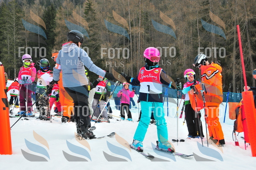 C1041 | holidayphoto