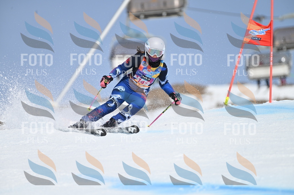 BGV_0152 | holidayphoto