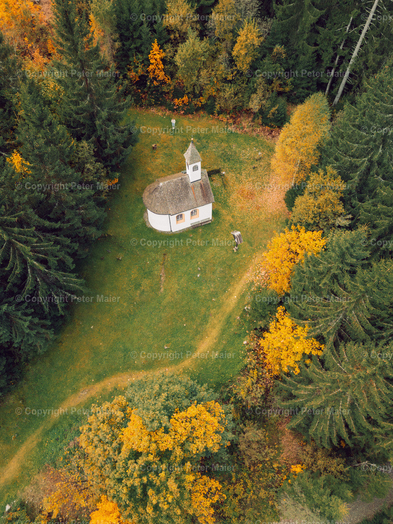 Defereggental_Herbst_2024-556 | piet_flosse