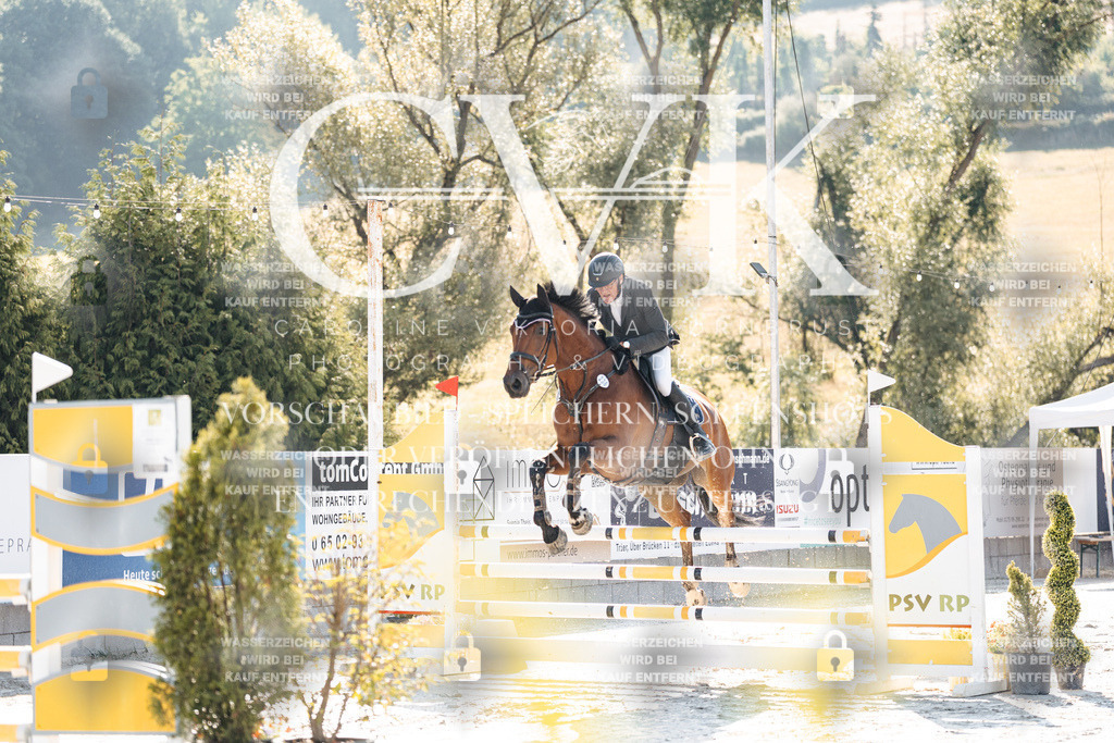 CK907459 | Turnierfotografie Pferdefotografie Trier Rheinland-Pfalz Pferdesport Reitsport Tierfotografie Sportfotografie Pferdevideo Pferdevideografie Equestrianvideography equestrianphotography  - Realisiert mit Pictrs.com