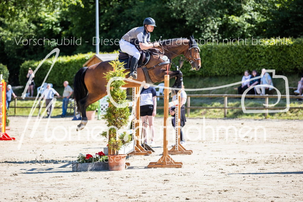 Donop24-M-Spr-077 | MomenTaufnahmen Pferdesportfotos