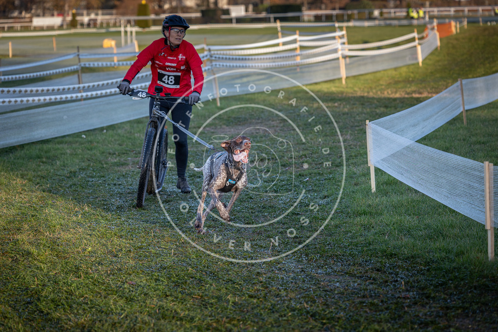 CaniXpix_0L8A2529 | Hundefotografie, Tierfotograf, Pfotenfotografie, Fotoshooting Hund, Hunde Portrait, Hundesport, Hundeportraits, Heideshooting, Hunde, Sportfotograf, Hundefotograf, Turnierhundsport, THS,  - Realisiert mit Pictrs.com
