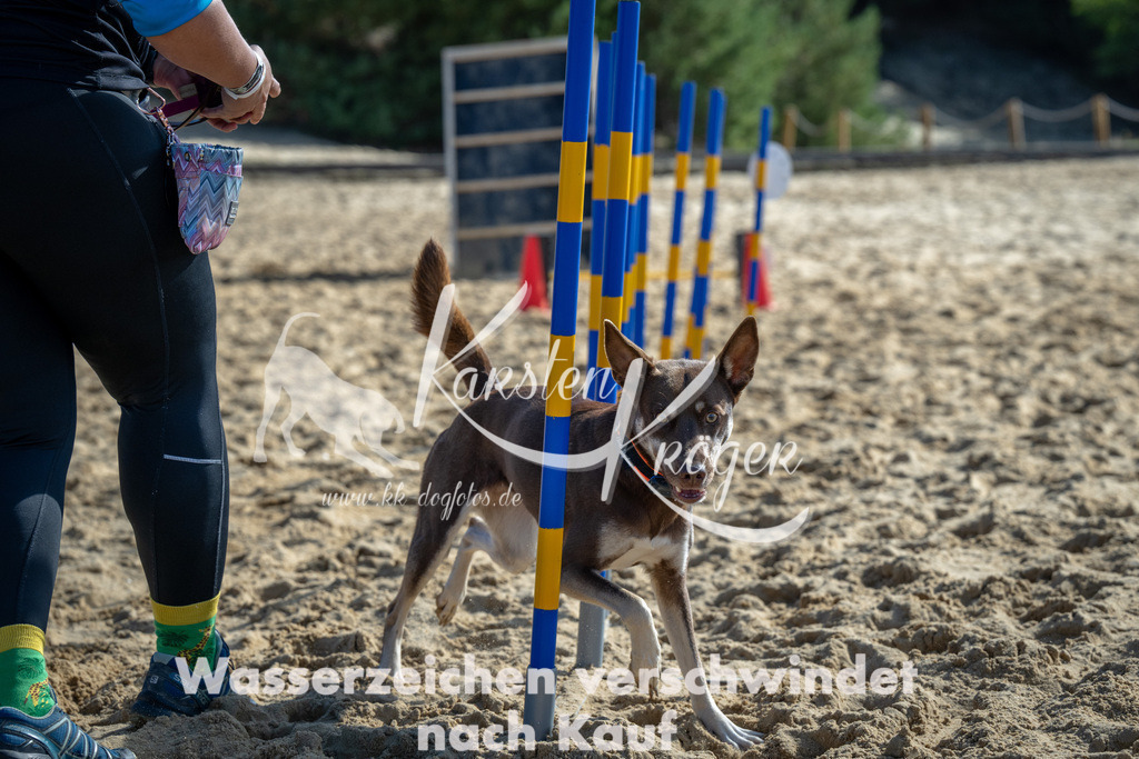 1210_ZZ92559-2 | kk-dogfotos