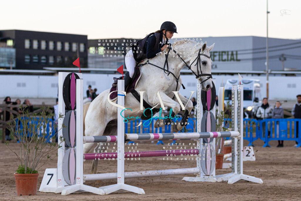 IMG_6130 | s-jay-photography - Realisiert mit Pictrs.com