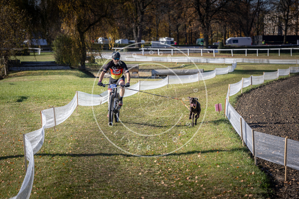 CaniXpix_DV3A6099 | Hundefotografie, Tierfotograf, Pfotenfotografie, Fotoshooting Hund, Hunde Portrait, Hundesport, Hundeportraits, Heideshooting, Hunde, Sportfotograf, Hundefotograf, Turnierhundsport, THS,  - Realisiert mit Pictrs.com