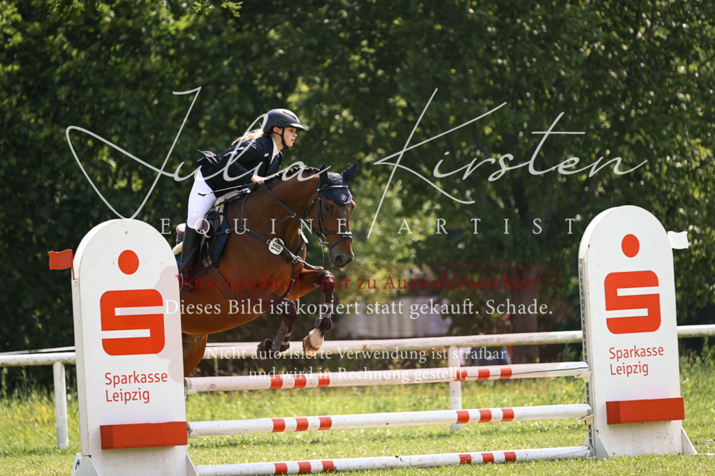 DSC_9023 | Pferde- und Turnierfotografie in Westsachsen. Pferdeportraits, Auftragszeichnungen und intuitive Kunst.