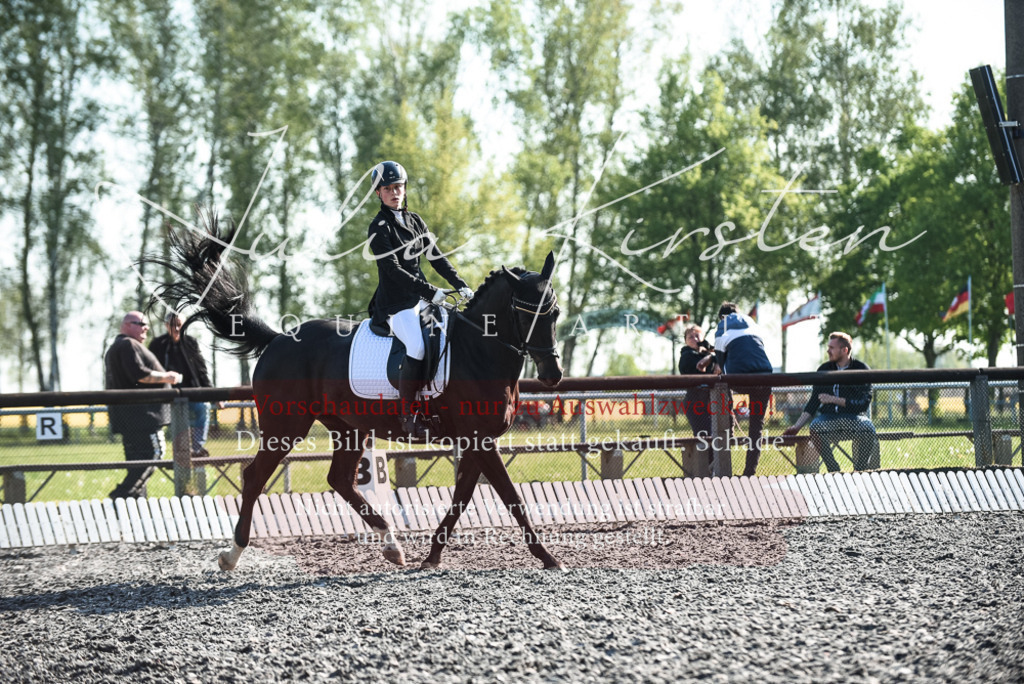 DSC_8346 | Pferde- und Turnierfotografie in Westsachsen. Pferdeportraits, Auftragszeichnungen und intuitive Kunst.