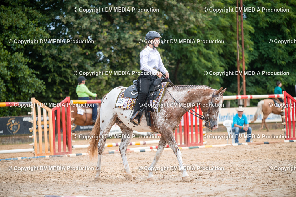 ZS2_7584 | dv-media-shop - Realisiert mit Pictrs.com