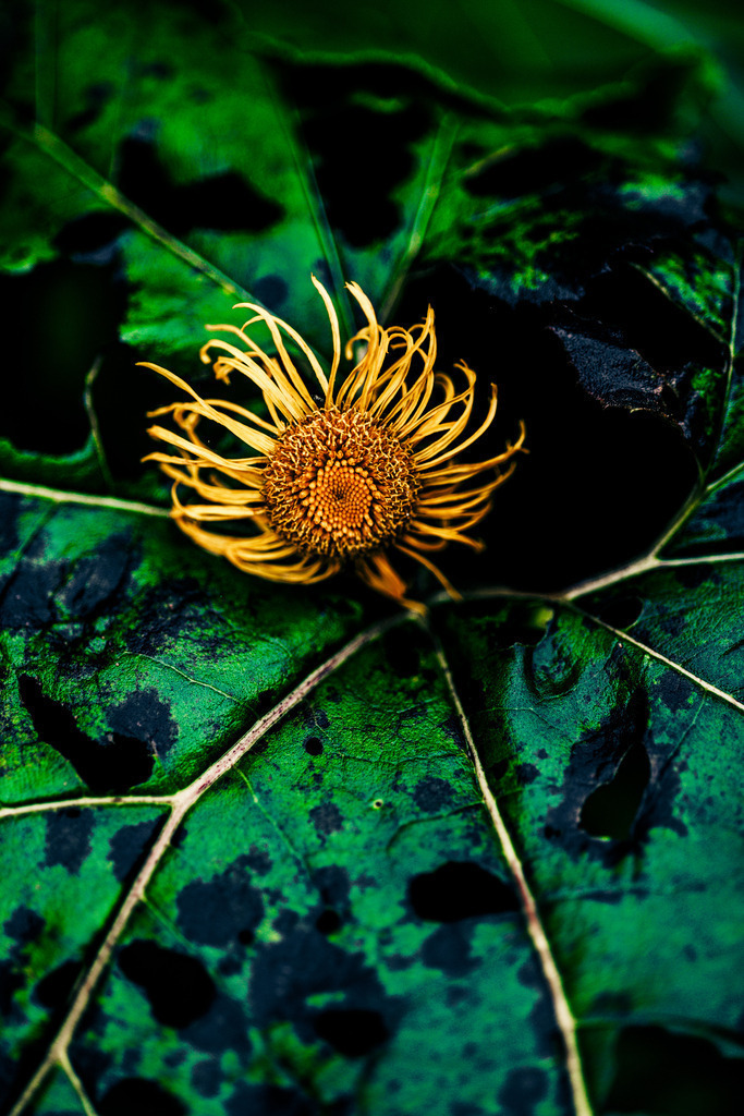 _T2A8433 | ap-design // andreas plenk - Realisiert mit Pictrs.com