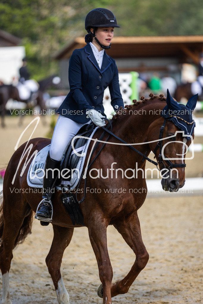 Donop24-A-Dre-137 | MomenTaufnahmen Pferdesportfotos