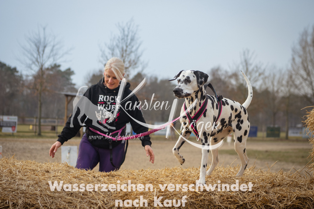 1007_ZZ92253 | kk-dogfotos