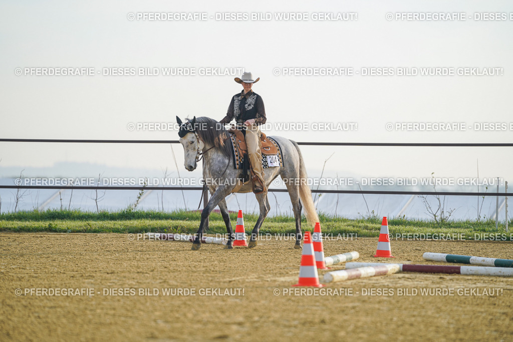 DSC09648 | Pferdegrafie