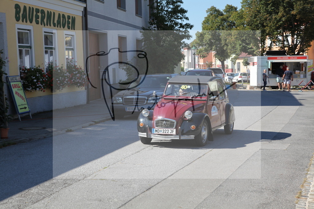 IMG_4728 | Gerhard Witt - Realisiert mit Pictrs.com