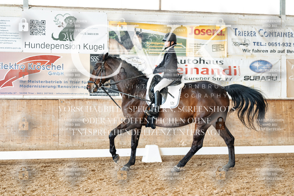 CK900486 | Turnierfotografie Pferdefotografie Trier Rheinland-Pfalz Pferdesport Reitsport Tierfotografie Sportfotografie Pferdevideo Pferdevideografie Equestrianvideography equestrianphotography  - Realized with Pictrs.com