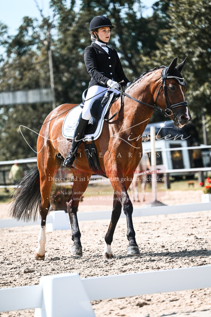DSC_5042 | Pferde- und Turnierfotografie in Westsachsen. Pferdeportraits, Auftragszeichnungen und intuitive Kunst.