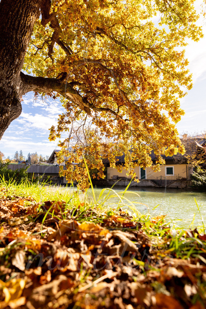 Herbst am Wolfgangsee | Ihre Fotografin im Lungau, ihre Fotografin im Mostviertel, Wandbilder Onlineshop, Imagefotos für Ihr Unternehmen,  - Realisiert mit Pictrs.com