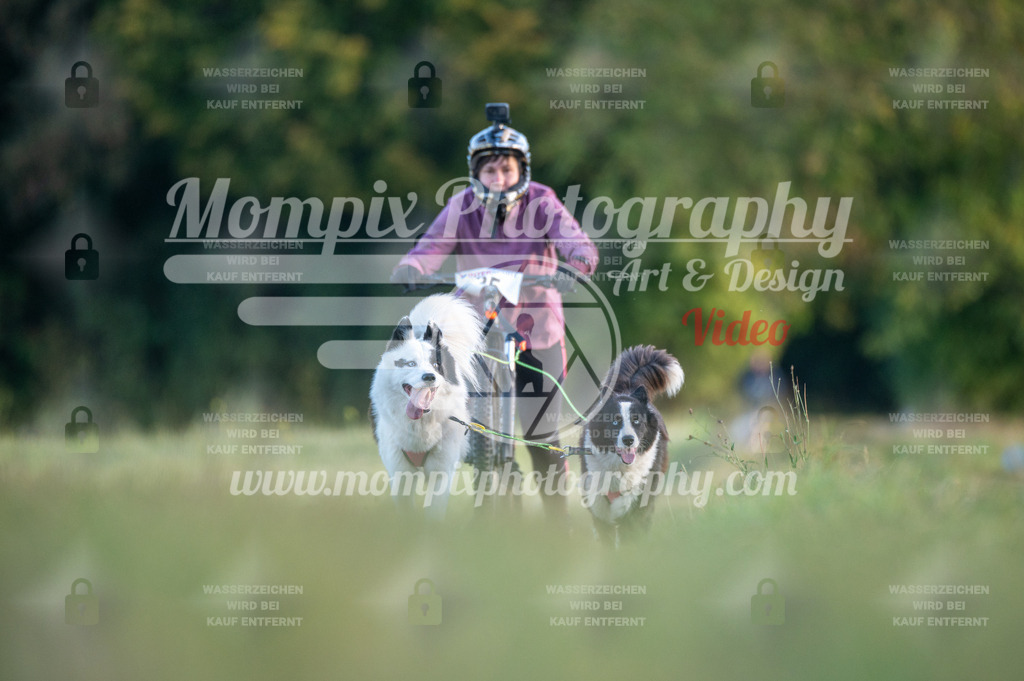 CDLBDB_15_10_2023_Dimanche-72 | mompixphotography