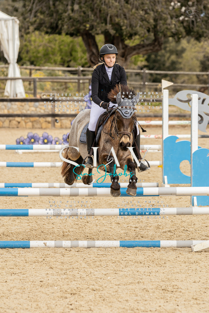 IMG_4531 | s-jay-photography - Realisiert mit Pictrs.com