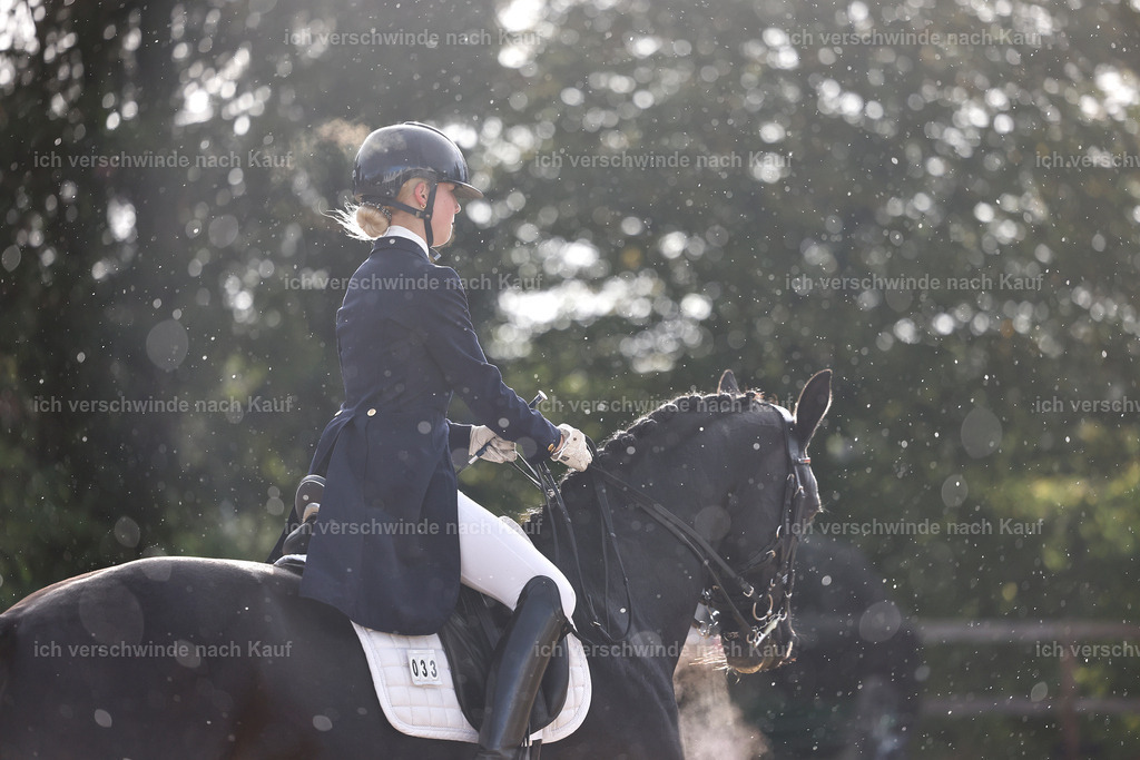 10-033-ST.GEORG SPECIAL -StoibPH-3135 | working equitationturnier fotograf videograf stoibphotography marixx film working equitation deutschland reitsport turnierfotografie eventfotografie equestrian events