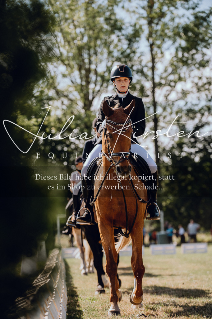 DSC_7237 | Pferde- und Turnierfotografie in Westsachsen. Pferdeportraits, Auftragszeichnungen und intuitive Kunst.