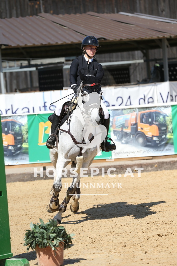 DL2Q2973 | Willkommen bei Brunnmayr - Design & Fotografie – Ihrem Spezialisten für Reitturniere und Pferdeveranstaltungen in Oberösterreich, Salzburg und Bayern! Seit über 17 Jahren sind wir leidenschaftlich dabei.