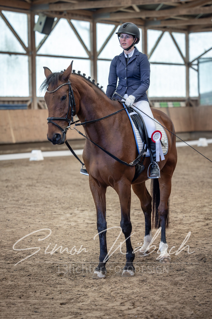 20251011-_3LI7822 | Tierfotografie Pferde, Hunde, Katzen, Haustiere.
Turnierfotografie Reitturniere, Reiten, Springreiten, Dressur in Hanau, dem Main-Kinzig-Kreis und dem Rhein-Main- Gebiet um Frankfurt