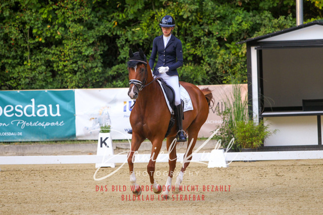 DKP41259 | Turniersportfotografie; Pferdefotografie; Dressurfotografie