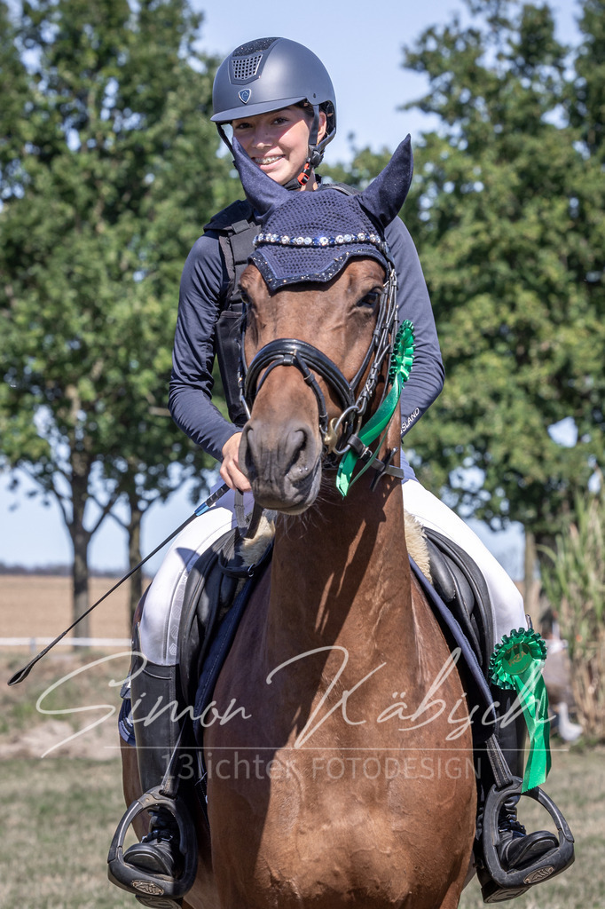 20260906-_3LI4793 | Tierfotografie Pferde, Hunde, Katzen, Haustiere.
Turnierfotografie Reitturniere, Reiten, Springreiten, Dressur in Hanau, dem Main-Kinzig-Kreis und dem Rhein-Main- Gebiet um Frankfurt