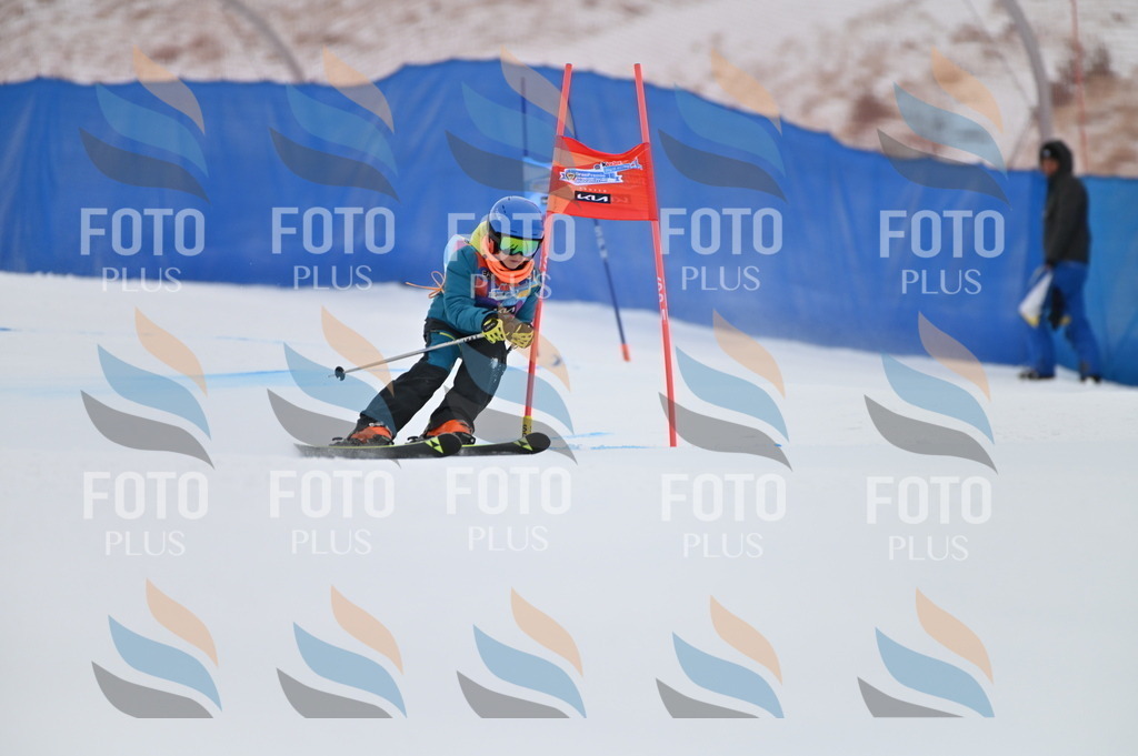 BGV_2382 | holidayphoto