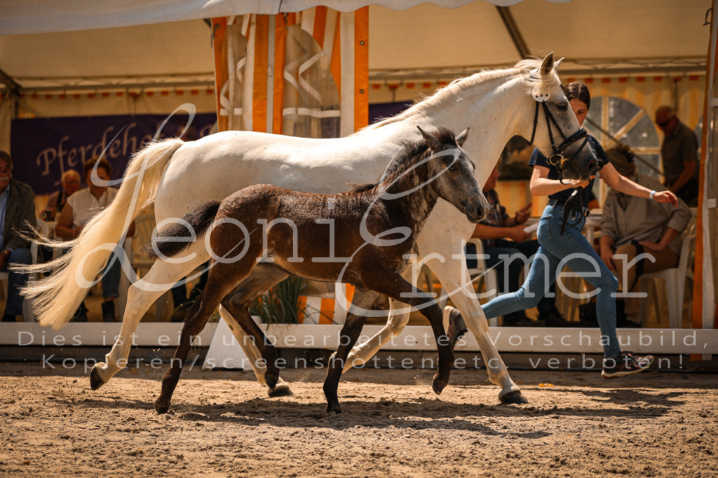 02.DoSR00191 | Leoni Ertmer Photography - Realisiert mit Pictrs.com