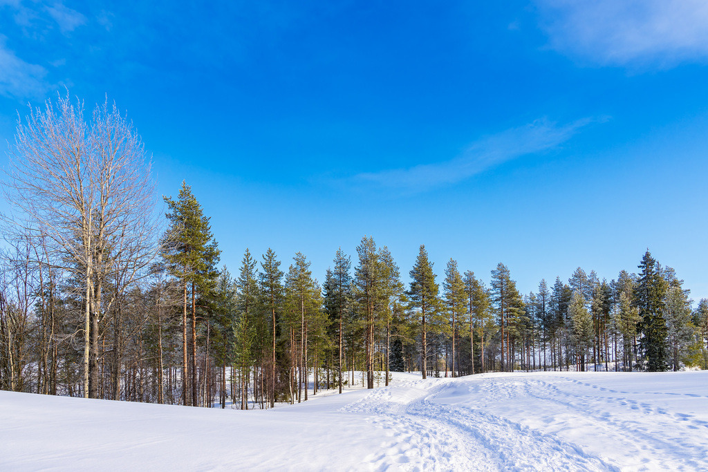 Landschaft mit Schnee im Winter in Kuusamo, Finnland | Landschaft mit Schnee im Winter in Kuusamo, Finnland.