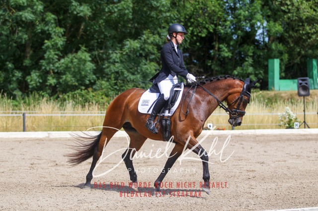 DKP46632 | Turniersportfotografie; Pferdefotografie; Dressurfotografie