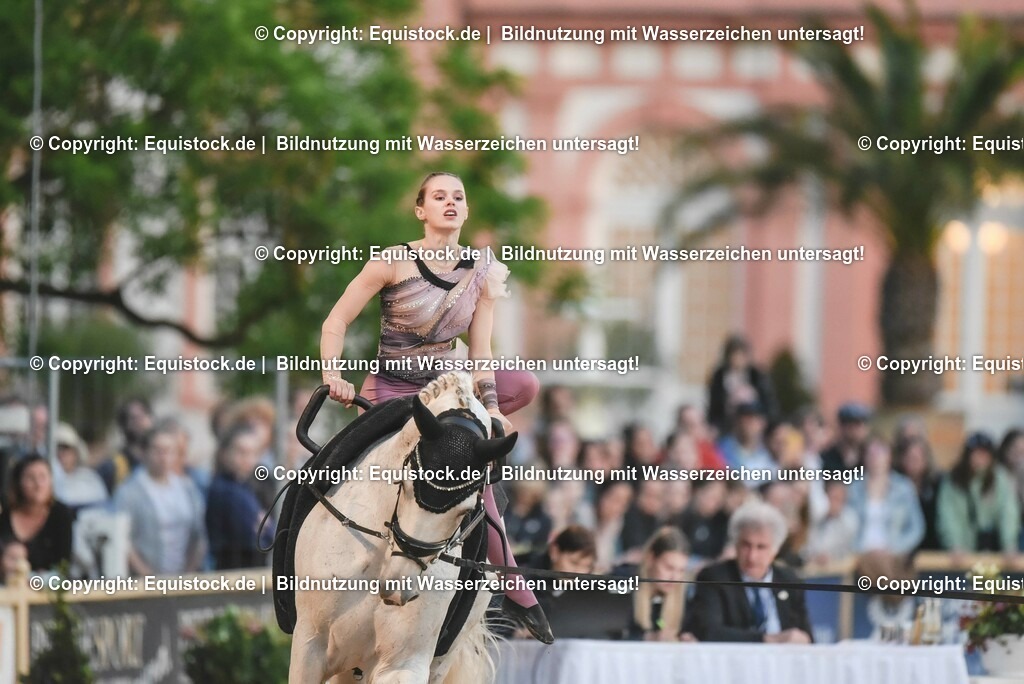 20230527_Voltigieren_NASPA_Flutlicht_0332 | equistock