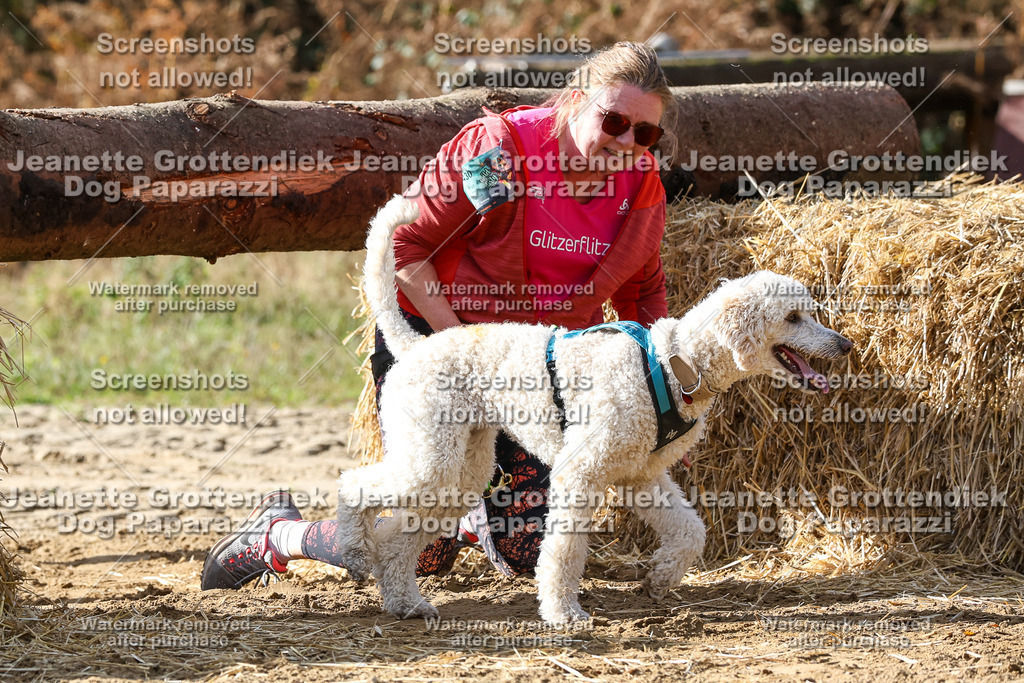 Dog Paparazzi - Strongdog 10-25-5631 | Dog Paparazzi Jeanette Grottendiek Fotografie & Videografie - Realisiert mit Pictrs.com