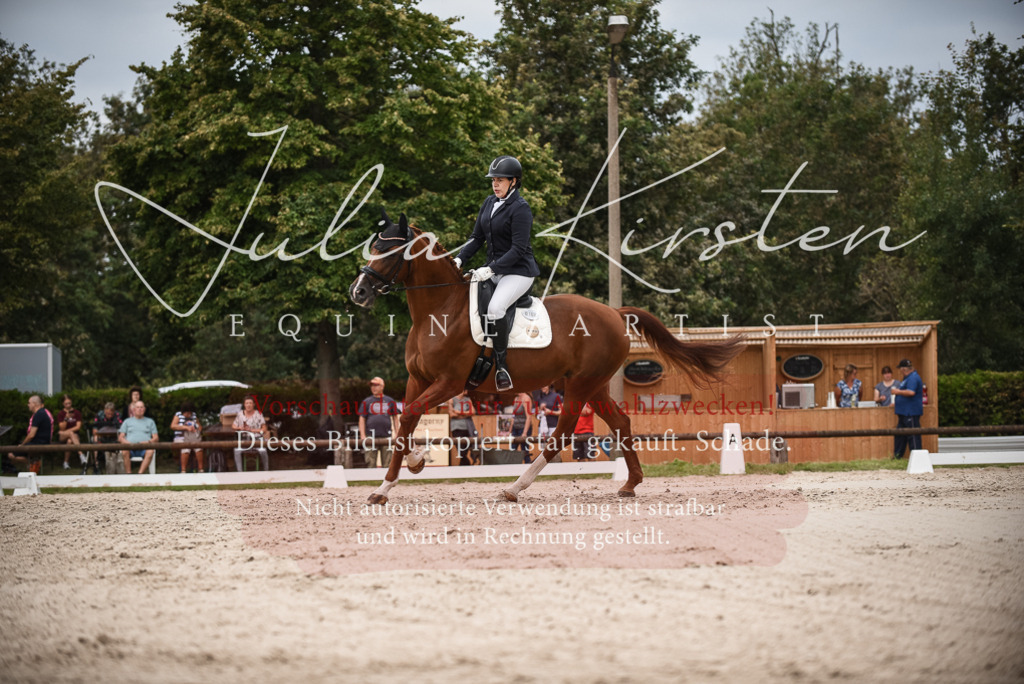 DSC_8381 | Pferde- und Turnierfotografie in Westsachsen. Pferdeportraits, Auftragszeichnungen und intuitive Kunst.