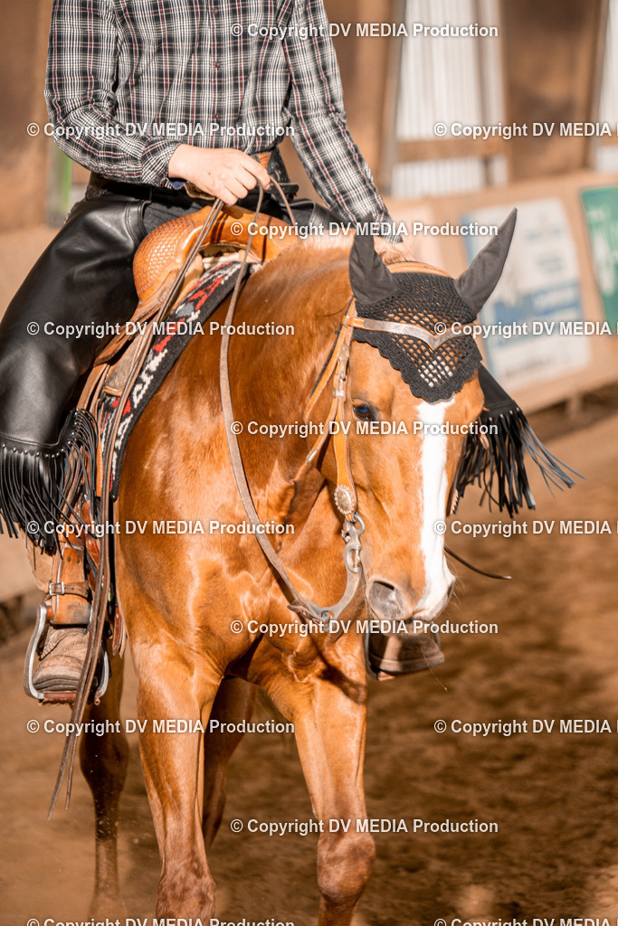 BA400848 | dv-media-shop - Realisiert mit Pictrs.com