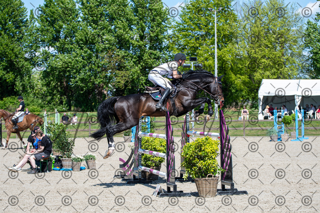 KPT_1231 | andre_photographic