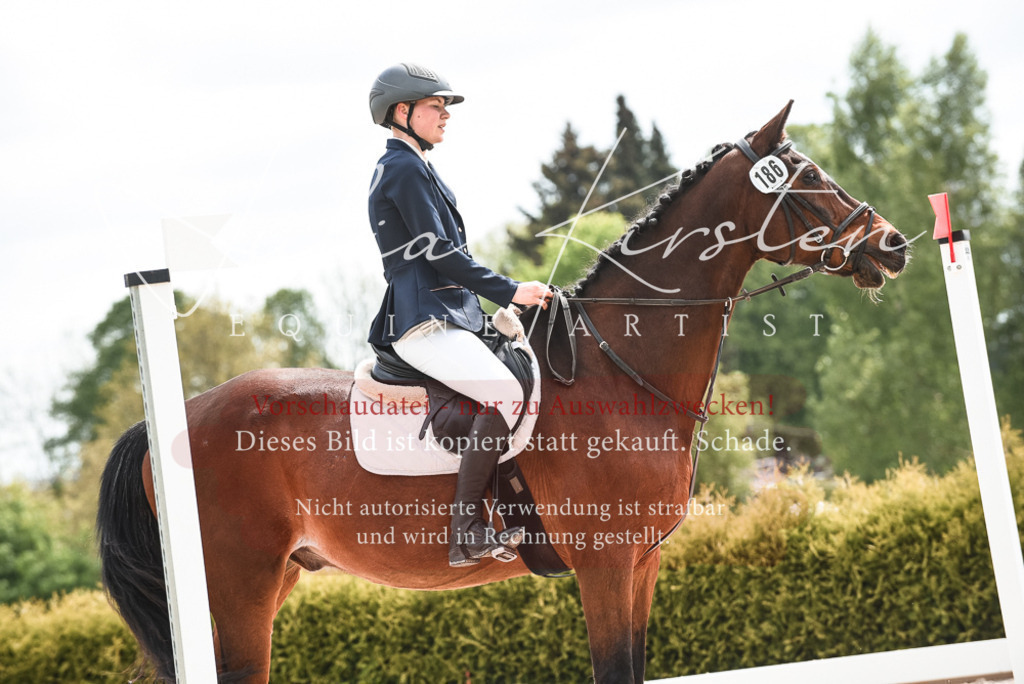 20230518_JK-Röhrsdorf-10-053 | Pferde- und Turnierfotografie in Westsachsen. Pferdeportraits, Auftragszeichnungen und intuitive Kunst.