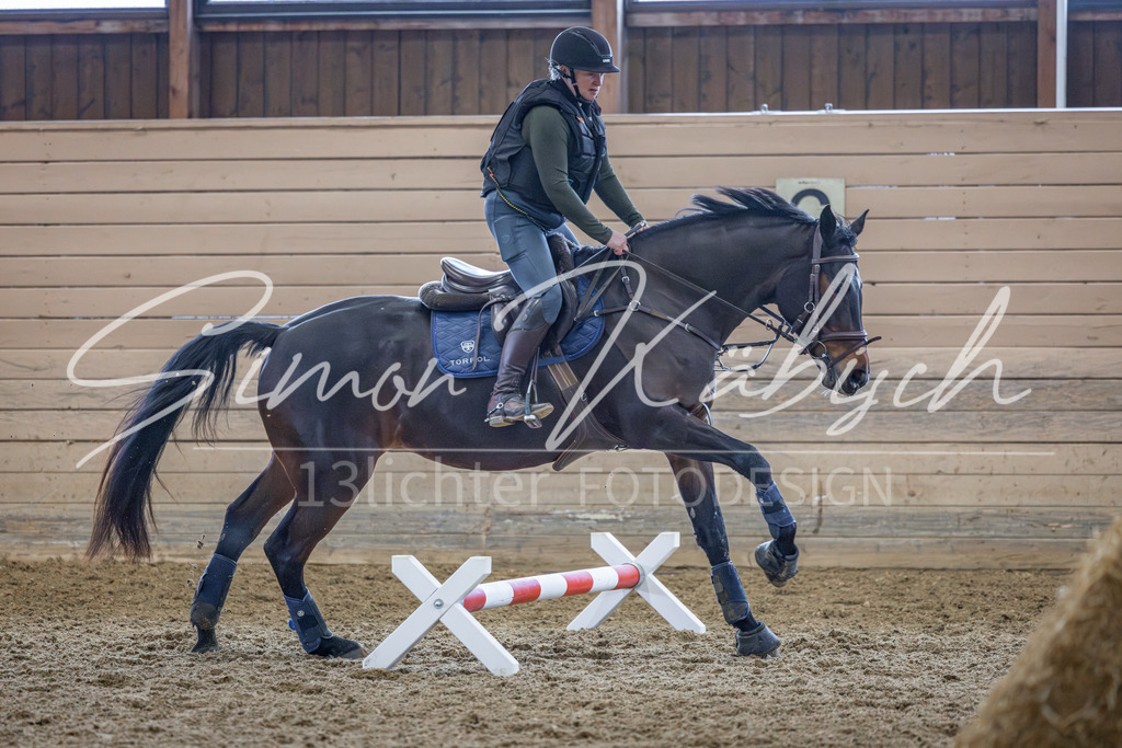 20260221-_3LI9891 | Tierfotografie Pferde, Hunde, Katzen, Haustiere.
Turnierfotografie Reitturniere, Reiten, Springreiten, Dressur in Hanau, dem Main-Kinzig-Kreis und dem Rhein-Main- Gebiet um Frankfurt