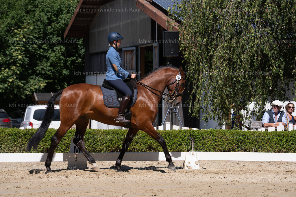 WL_DR_106_sinafilmart_IN07999 | working equitationturnier fotograf videograf stoibphotography marixx film working equitation deutschland reitsport turnierfotografie eventfotografie equestrian events