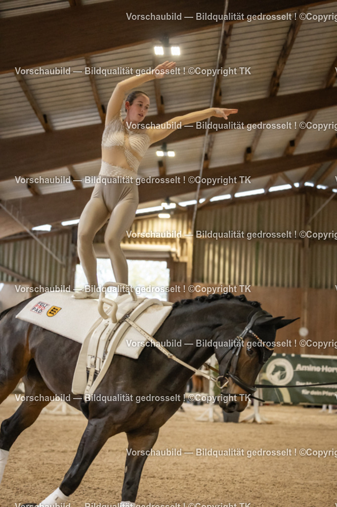 _D5A1879 | Emotionale Pferde- & People-Fotografie rund um Heidelberg, Leimen & Umgebung. Natürliche Fotos von Pferd, Mensch & Familie. Jetzt Termin sichern!
