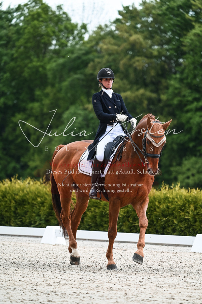 20230514_JK-Röhrsdorf-21-010 | Pferde- und Turnierfotografie in Westsachsen. Pferdeportraits, Auftragszeichnungen und intuitive Kunst.