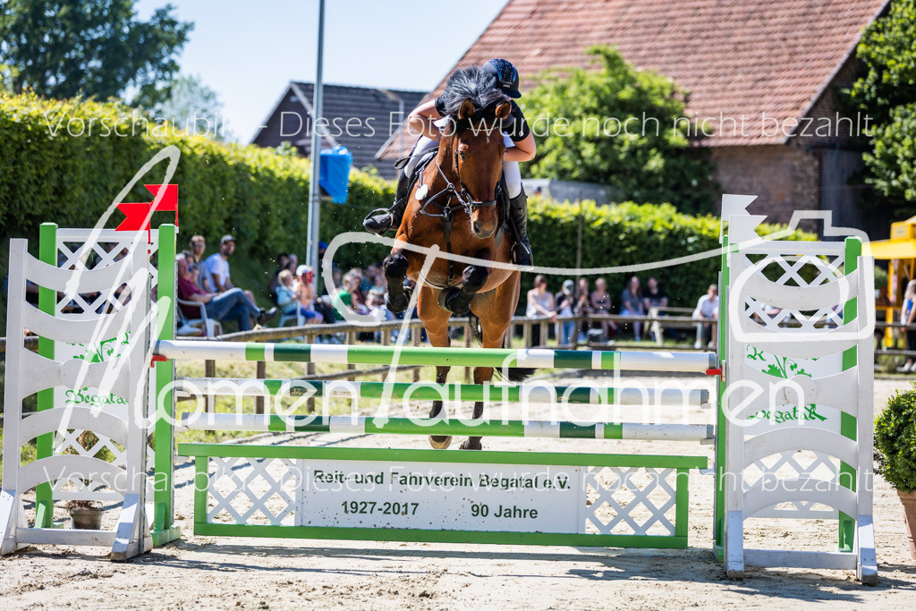 Donop24-M-Spr-050 | MomenTaufnahmen Pferdesportfotos