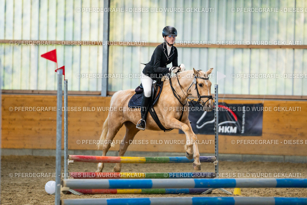 DSC00851 | Pferdegrafie