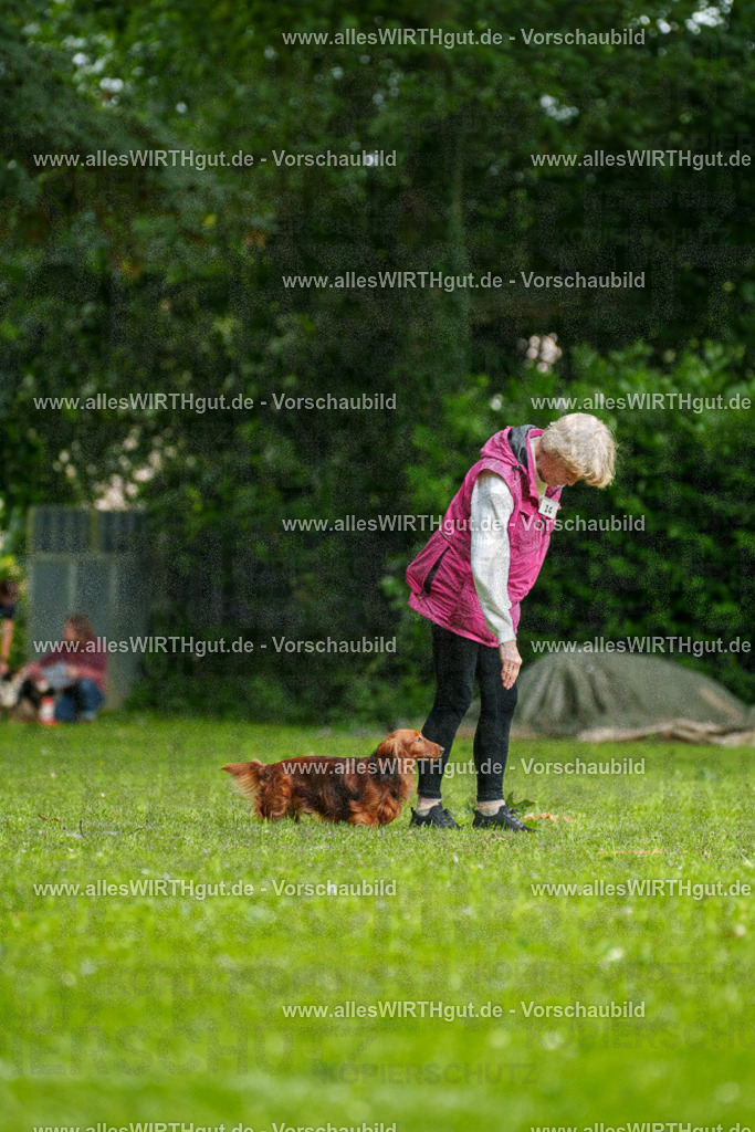 @allesWIRTHgut_Tierfotografie - www.allesWIRTHgut.de - 090711-7R506520 | Professionelle Tierfotografie in Mönchengladbach von Daniel Wirth (allesWIRTHgut). Liebevolle & natürliche Bilder von Hunden & Katzen für unvergessliche Erinnerungen.